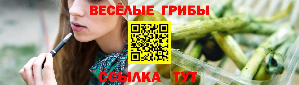 Кумертау  Псилоцибиновые грибы Cubensis  Вход с VPN 